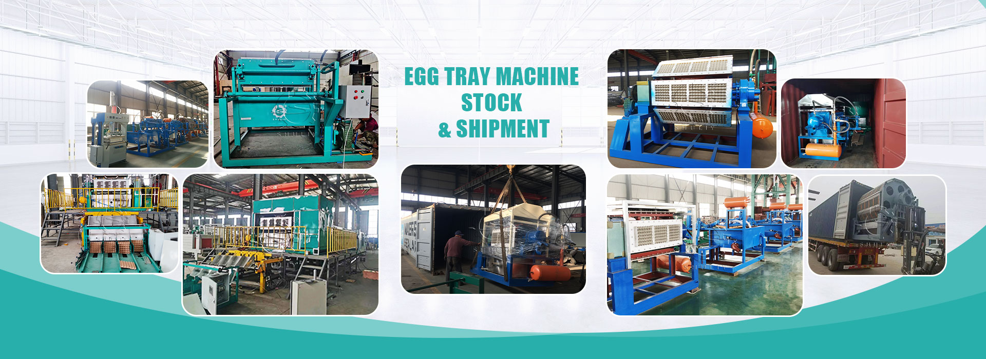 Shuliy egg carton machine for sale