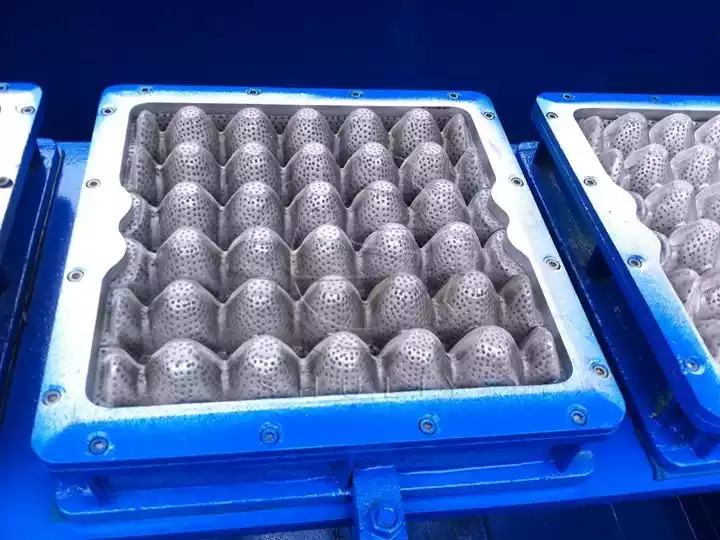 molde de cartón de huevos