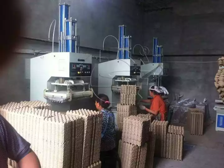 egg trays smoothing plant with hot press machines