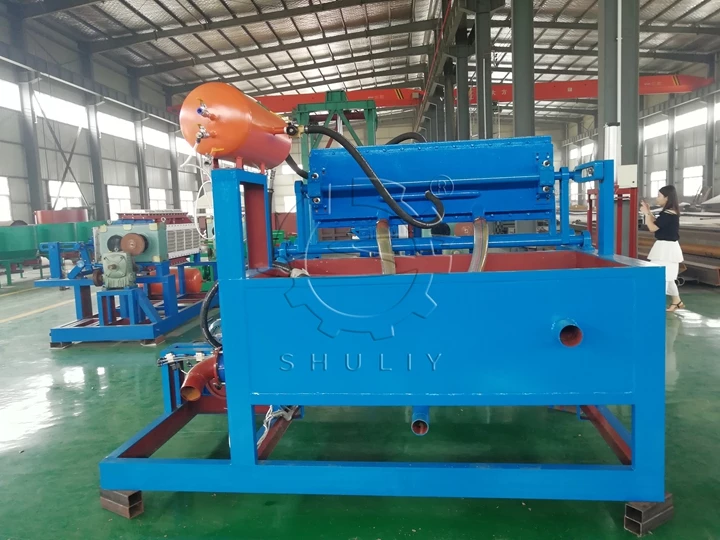 Máquina para fabricar cartones de huevos Shuliy a la venta