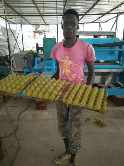 production de plateaux à œufs au Nigeria