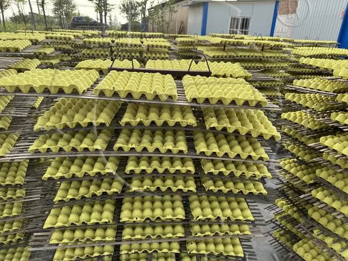 egg carton production