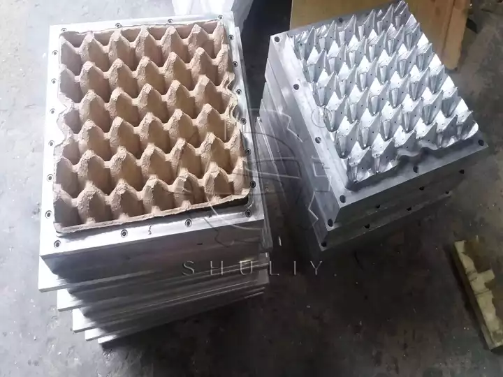egg tray mold